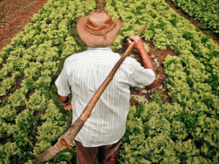Agricultores familiares da BA, PB e de MG vão receber Garantia-Safra