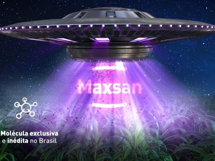 Resistência de pragas ameaça a produtividade da cana-de-açúcar