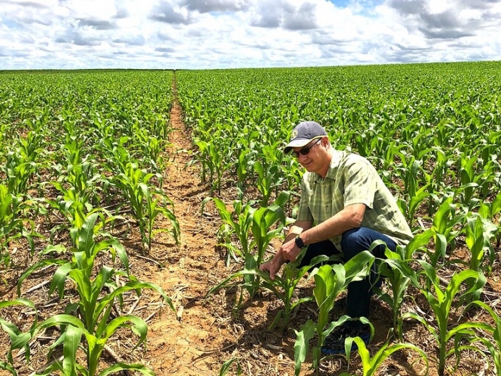 Fusão inicia nova geração no controle de insetos