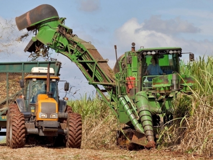 Quinzena alcooleira tem mais de 70% da cana destinada ao etanol