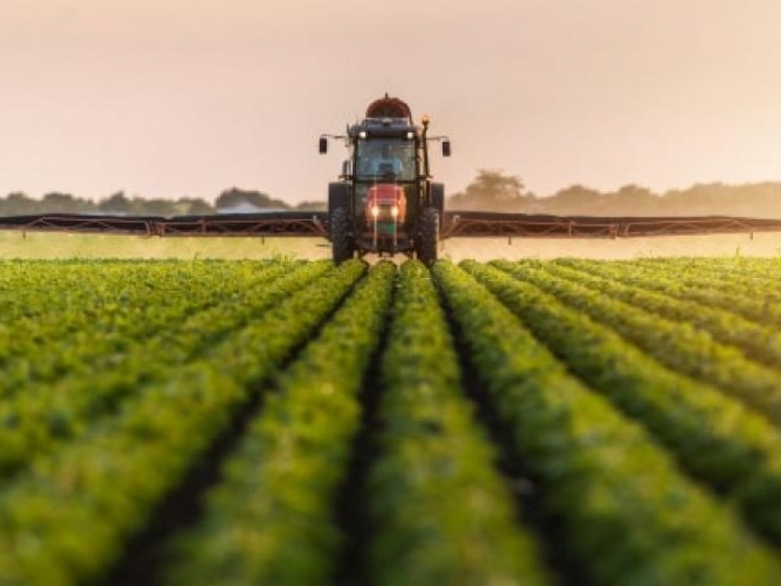 Agropecuária de 2019 é estimado em R$ 617 bilhões