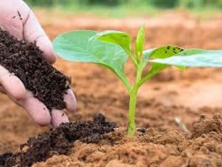 Abisolo estima expansão de 12% nas vendas de fertilizantes