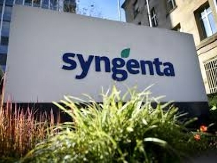 Syngenta é a melhor empresa do agro para trabalhar