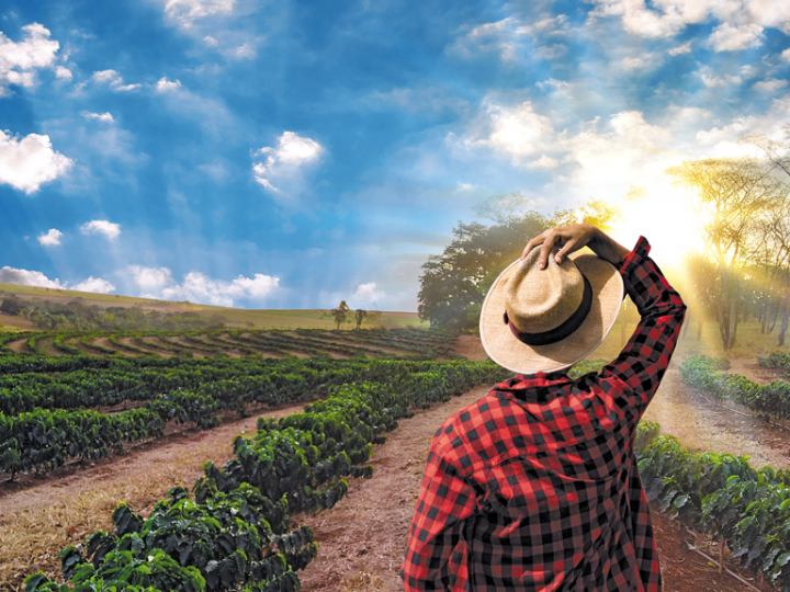 PNCF facilita o acesso à terra para agricultura familiar