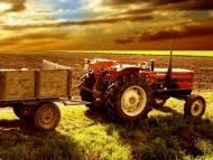 Agropecuária é o setor com maior alta do PIB no terceiro trimestre do ano