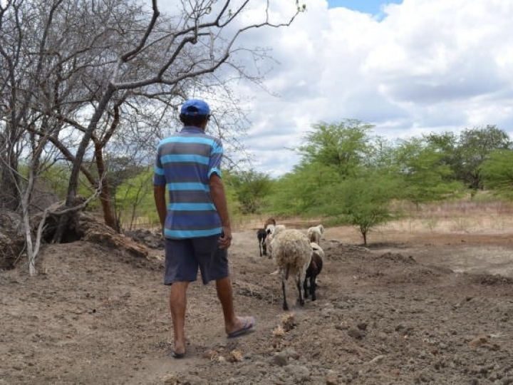 Garantia-Safra destinará R$ 5,4 mi 