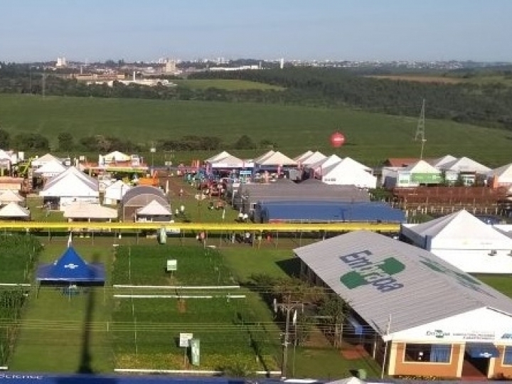 Embrapa terá cinco lançamentos no Show Rural Coopavel