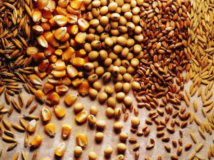 248 milhões de toneladas para produção de grãos