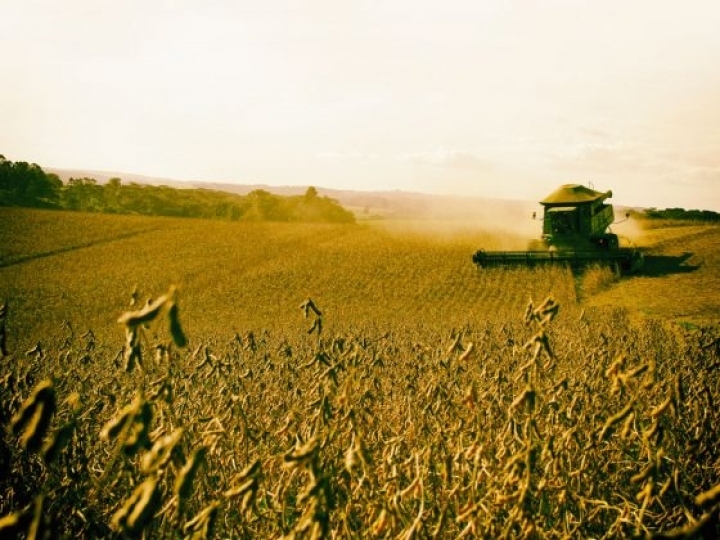 Produtores contrataram R$ 108,5 bilhões nos primeiros 6 meses da safra