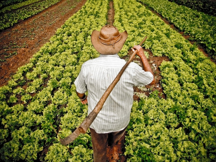 Agricultura familiar terá mais R$ 1 bi para investimento