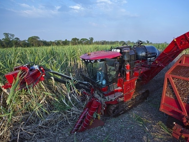 Case IH lidera venda de colhedoras de cana-de-açúcar