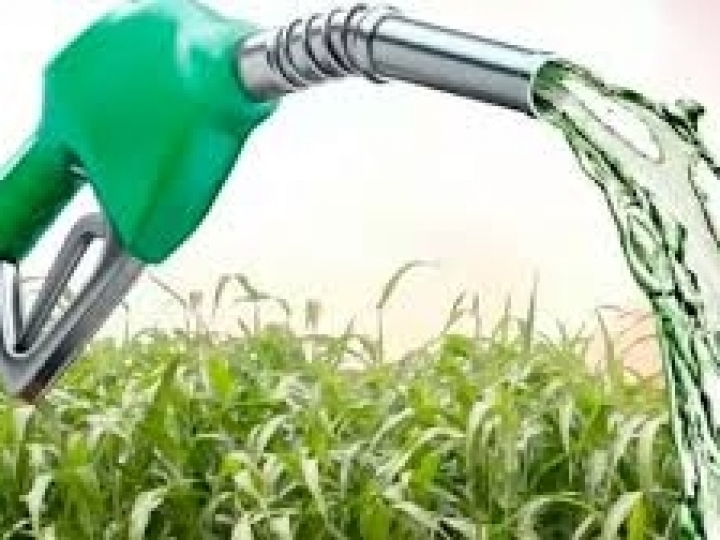 Ministra defende parceria entre Brasil e Índia na produção de etanol