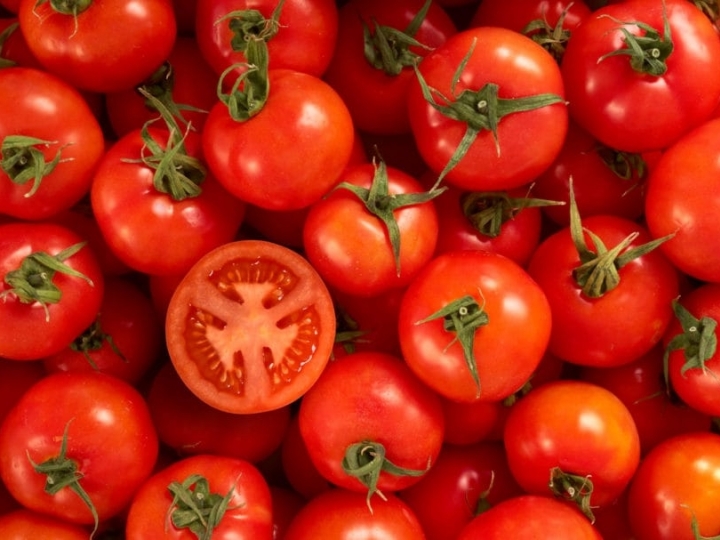 Uso de vegetais como adubo verde é uma ótima opção para cultivo de tomate orgânico