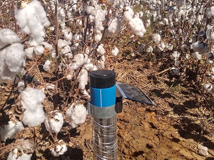 Internet das coisas é testada em irrigação de precisão