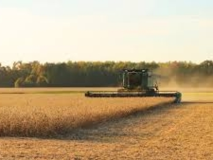 VBP terá valor recorde em 2020