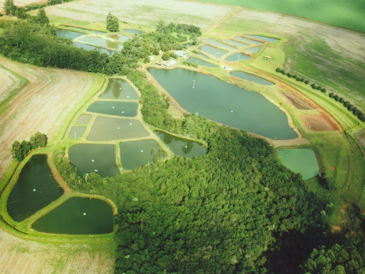 Realidade virtual em aquicultura 