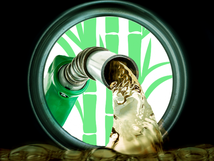 Etanol registra recorde histórico de consumo no Brasil