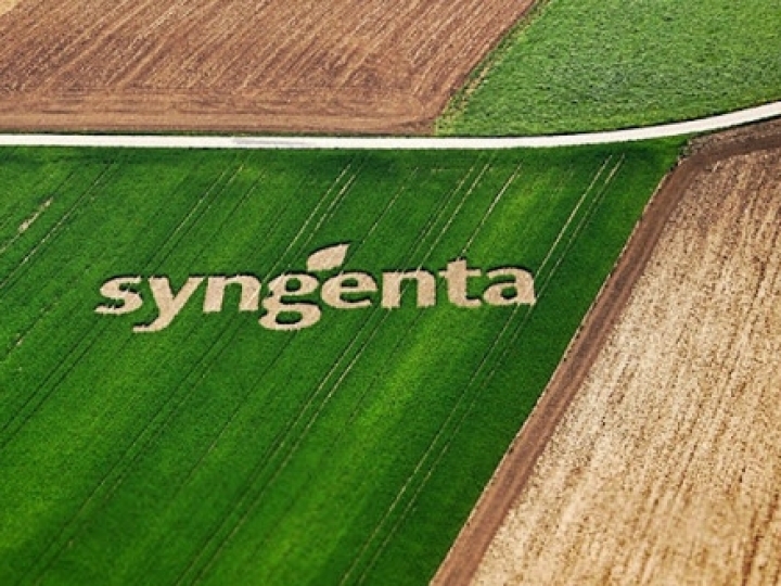 Amplo portfólio da Syngenta na Expodireto