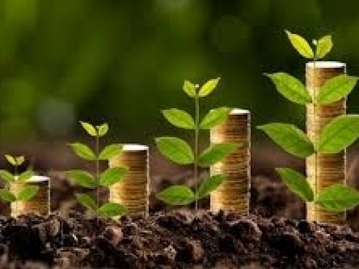 Crédito rural na atual safra atinge R$ 116,7 bi