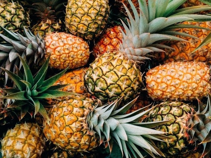 Potencial brasileiro na produção de abacaxi