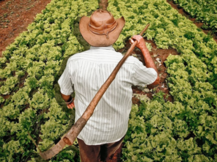 Agricultores familiares receberão benefício do Garantia-Safra em março