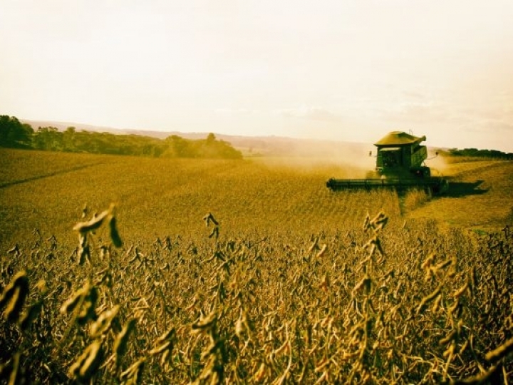 Encontros regionais para reunir propostas para o Plano Agrícola e Pecuário 2020/2021