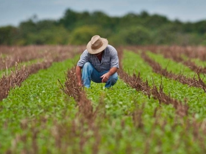 Ministra destaca compromisso dos produtores rurais e tranquiliza sobre abastecimento