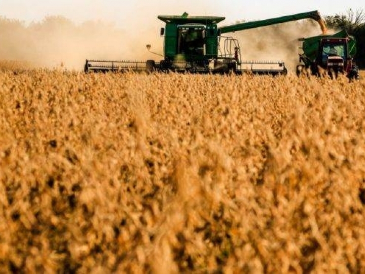 Safra 2019/20 de soja tem crescimento na área 2,6%