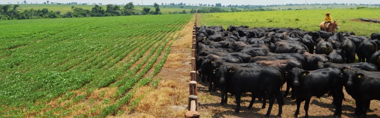 Foto: Governo de Rondônia