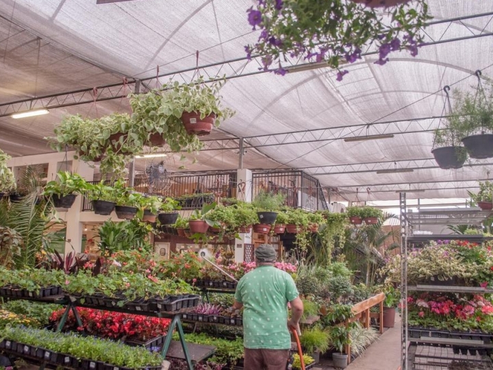 Maior rede de floriculturas do Brasil lança opção de venda via chamada de vídeo