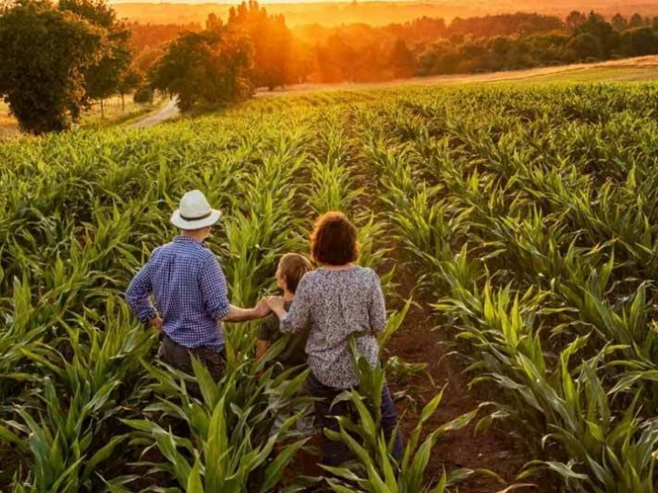 Garantia-Safra antecipa o benefício para agricultores familiares de R$ 73,3mi em abril