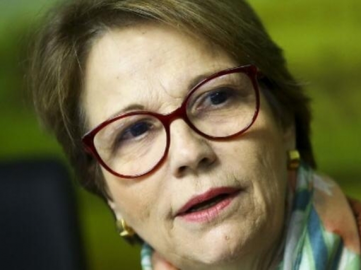 Governo considera urgente medidas para o setor sucroenergético