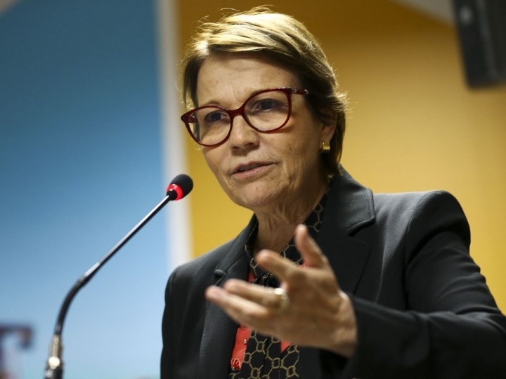 Ministra discute com adidos agrícolas cenários para o setor após a pandemia