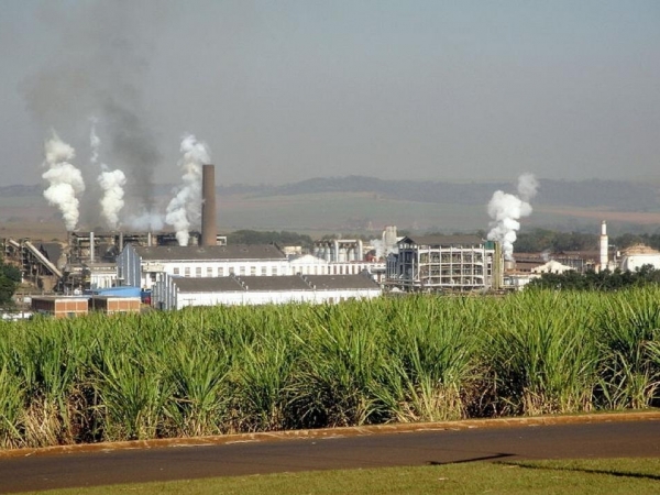CPE terá sede na Faculdade de Ciências Agrárias e Veterinárias da Unesp em Jaboticabal; pesquisadores também vão atuar nas áreas de biotecnologia e resistência de planta (Foto: Wikimedia Commons)