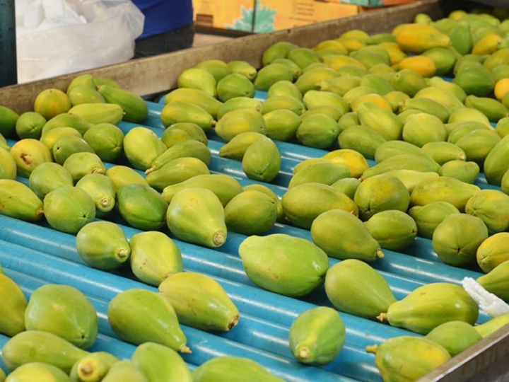 SBC e Abrafrutas: segundo ano de parceria