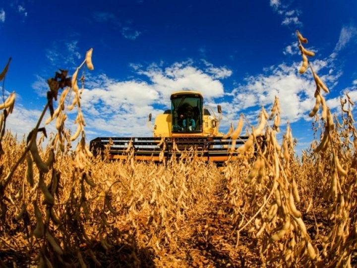 Estimativa de produção acima de 250 milhões de toneladas