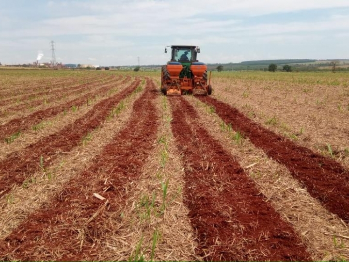 Incorporação da palha reduz perdas e evita transtornos para usinas e produtores