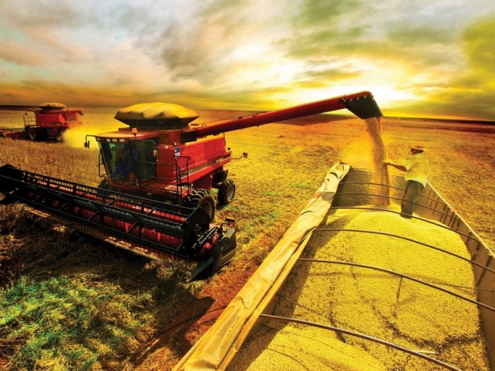PIB do agronegócio cresce 2,42% no primeiro bimestre 
