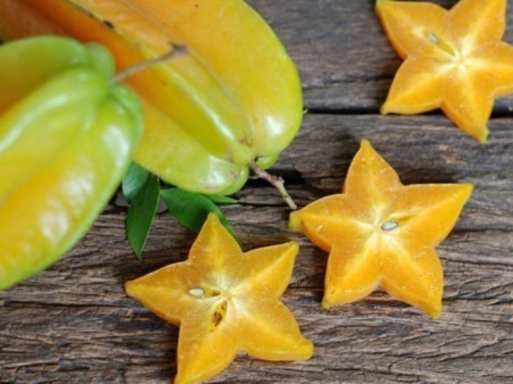 Ações para erradicação da mosca-da-carambola devem ter continuidade