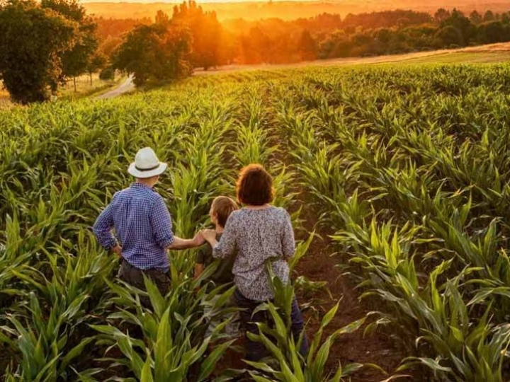 Agricultores familiares têm novo canal para comunicar perdas de alimentos