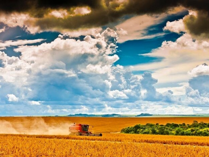 Embrapa apresenta tecnologias para produção de soja no Matopiba