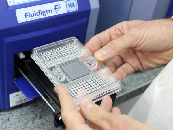 Embrapa já analisou mais de 1,5 mil amostras. Foto: Divulgação