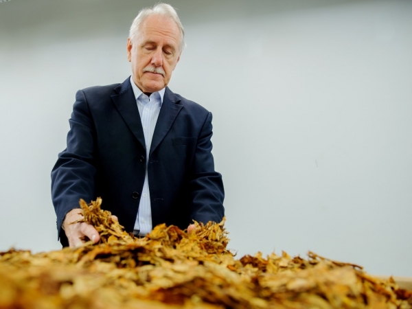 Presidente do SindiTabaco.  Foto: Junio Nunes