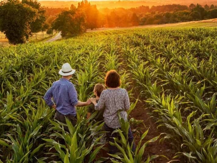  Governo Federal investe R$ 220mi para suprir agricultores familiares