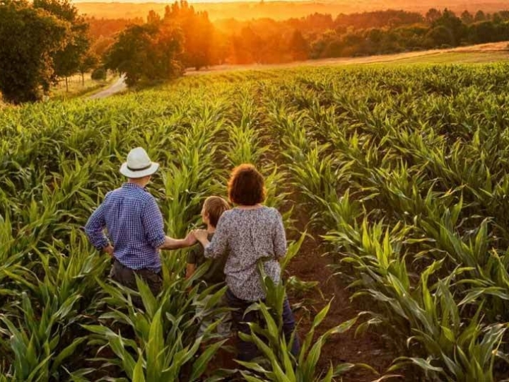 Mercado CNA oferece funcionalidades ao produtor 