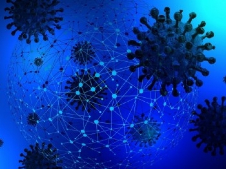 Estudo identifica fatores que contribuíram para disseminação inicial da COVID-19