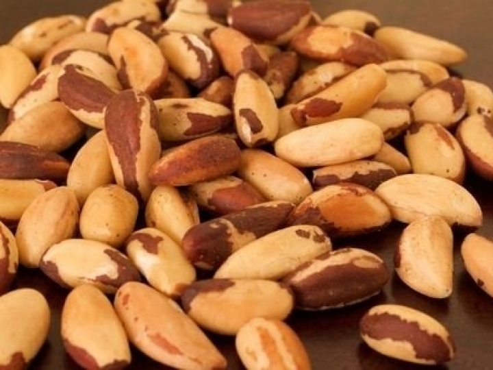 Conab analisa comercialização da castanha-do-brasil e impacto da pandemia no extrativismo