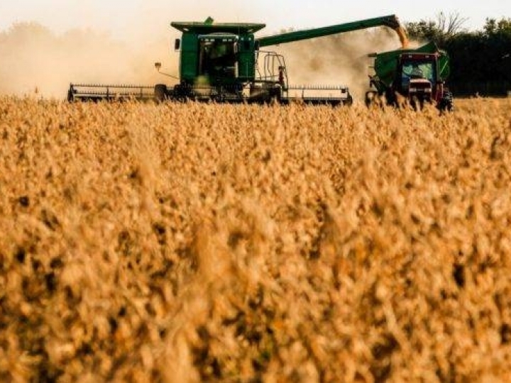 Agropecuária foi o único setor com desempenho positivo no 1º trimestre 