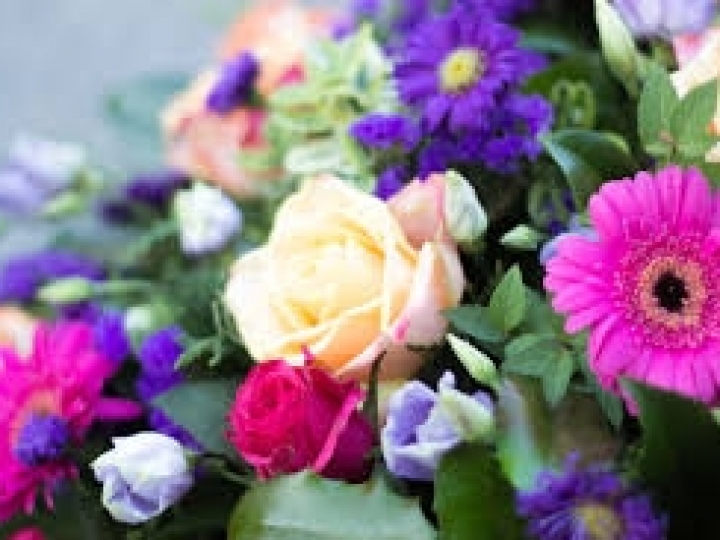 39ª Expoflora será adiada para 2021