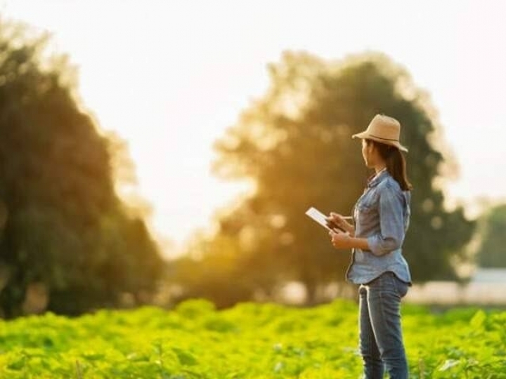 Mapa lança app para produtores sobre seguro rural